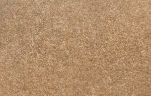 Acusticum. Cor MR-83