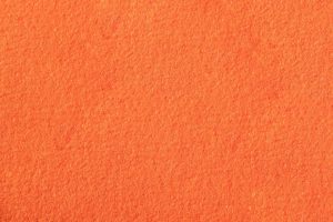 A·PET Gerbera Daisy. NR-09